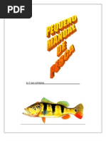 Manual de Pesca