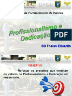 PFV Profissionalismo