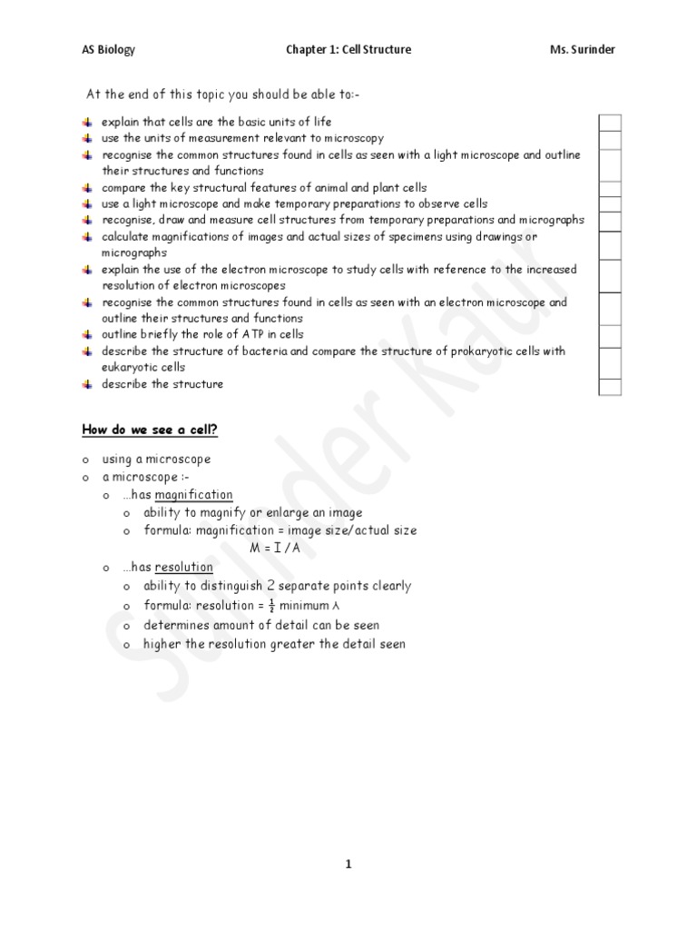 A Level Biology: Cell Structure Notes | PDF | Wellness