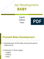 Pre-Natal Development: Zygote Embryo Fetus