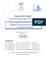 Rapport Pfe Etude de Construction de La Rnc Entre Tassrirt Et Ikhfifolou Du Pk 0+000 Au Pk 17+500 Dans La Province de Tiznit
