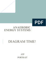 Anaerobic Energy Systems