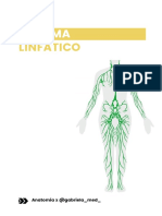 Sistema: Linfático