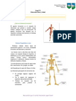 Guía Sistema Locomotor 4°