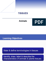 4 Tissue Types- Epithelial, Connective, Muscle, Nervous