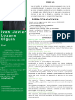Ivan Javier Lozano Olguin: Formacion Academica