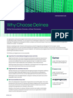 Delinea Datasheet Corporate Brochure