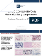 Tejido Conjuntivo (I) : Generalidades y Componentes