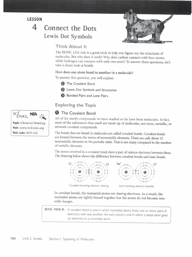Identify These Smell Sensors A Comprehensive Anatomy Lesson - jfbzjpb