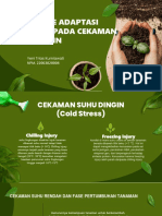 MEKANISME TANAMAN PADA CEKAMAN DINGIN