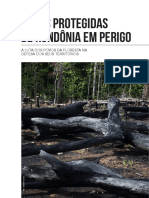 Caderno Areas Protegidas de Rondonia em Perigo 949620053