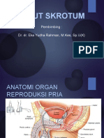 Akut Skrotum: Pembimbing: Dr. Dr. Eka Yudha Rahman, M.Kes, Sp.U (K)