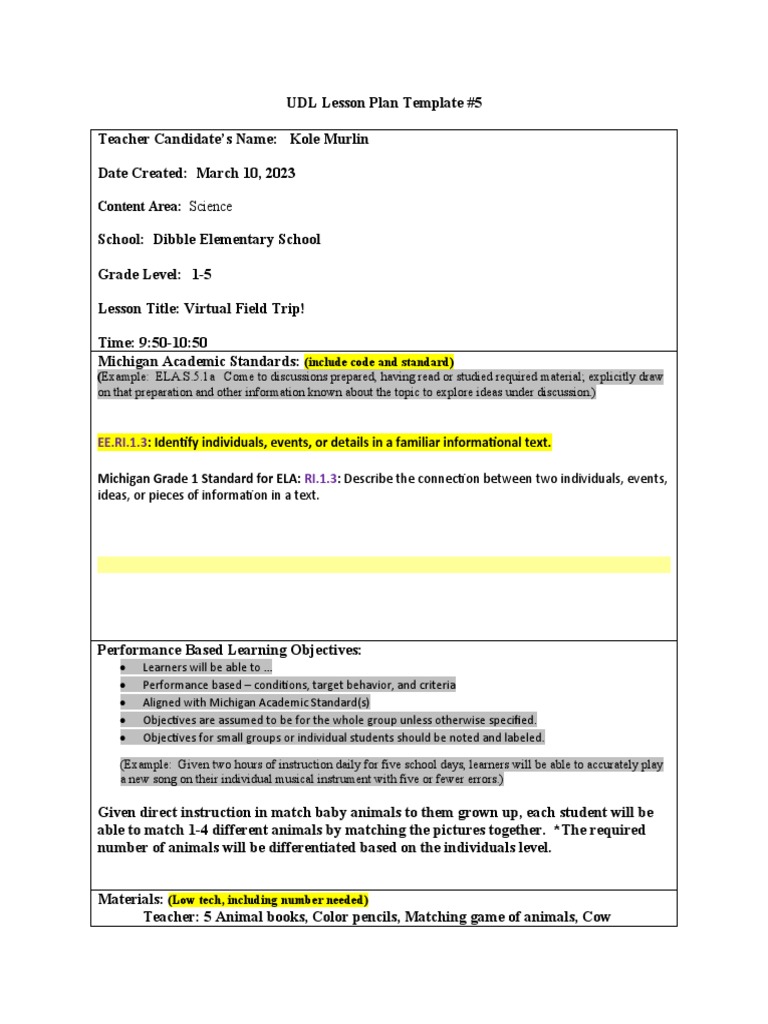 Special Education Lesson Plan 5 | PDF | Learning | Teachers