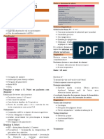 H. Pylori Resumo Rapido