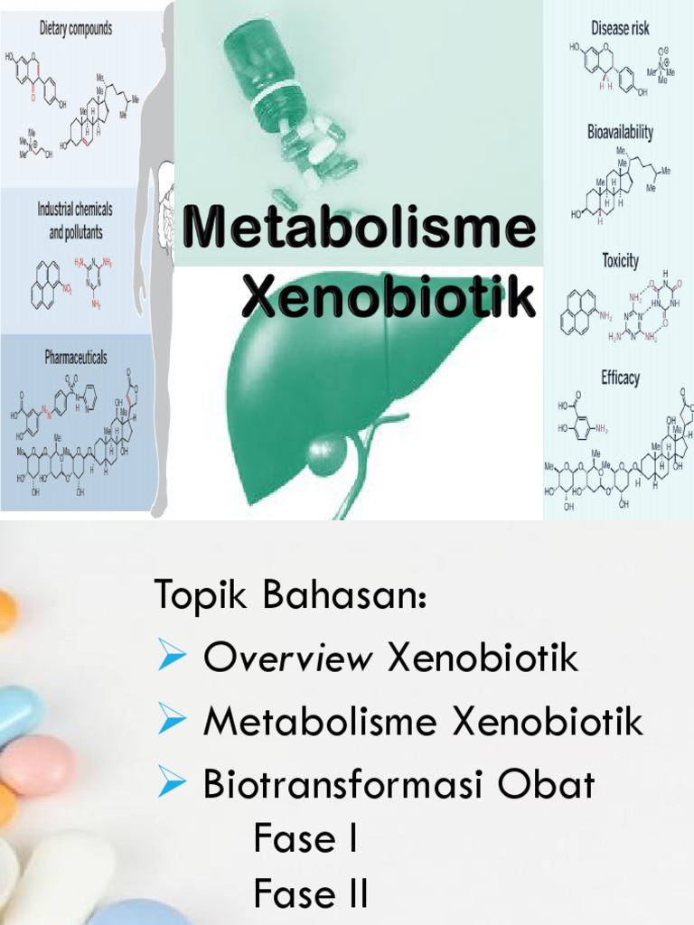 Metabolisme dan Biotransformasi Xenobiotik | PDF
