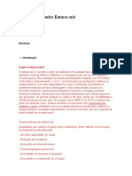 Estaca raiz: capacidade de carga e determinação