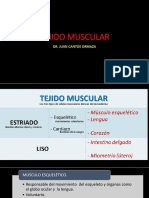 Histologia de Musculos