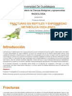 Universidad de Guadalajara: Fracturas en Reptiles Y Enfermedad Metabólica Ósea (Emo)