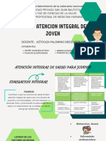 Plan de Atencion Integral Del Joven