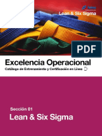 Catálogo de Certificación Lean Six Sigma - Variexa