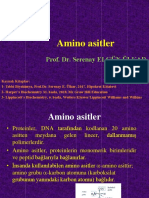 Amino Asit Ve Protein 1
