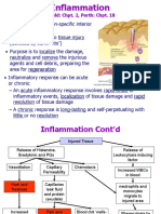 Inflammation: The Four Classic Signs and Anti-Inflammatory Treatments