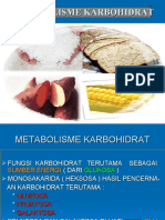 Metabolisme Karbohidrat