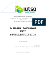 A Brief Approach Into Neurolinguistics