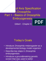 Genetics of Axis Specification in Drosophila Part 1 - Basics of Drosophila Embryogenesis
