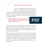 Tarea6 - Membrana Plasmatica