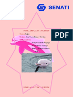 Pink Amazon Dolphin: Course: Teacher: Group Members