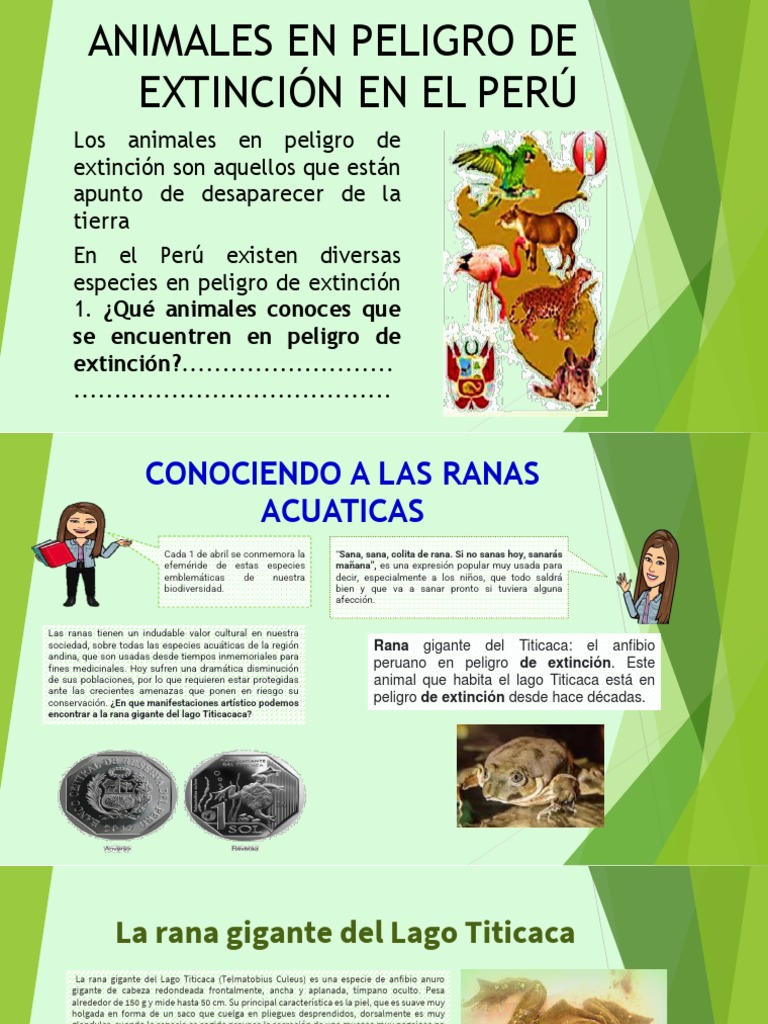 Día Mundial de Las Ranas Acuáticas. | PDF | Entorno natural | Organismos