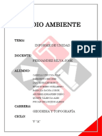 Medio Ambiente Grupo