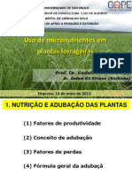 Uso de Micronutrientes em Plantas Forrageiras: Dracena, 18 de Maio de 2013