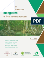 Protocolo Manglares