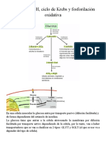 Recuperación Al Instante de Documento1