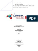 Review Jurnal Synthesis of Chalone Derivative Afifah Nurhidayati (A28226948)