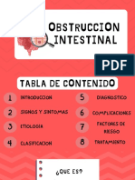 Obstruccion Intestinal-1