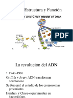 Generalidades del ADN