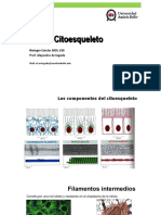 Citoesqueleto: Biología Celular BIOL 130 Prof. Alejandro Arriagada