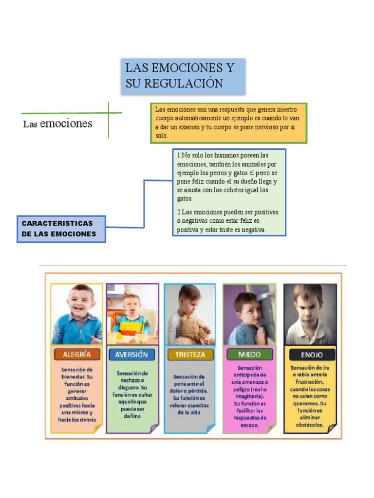 Las Emociones y Su Regulacion | PDF