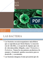 Morfologia y Clasificacion Bacteriana