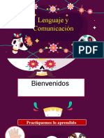Lenguaje y comunicación: clase virtual sobre el cuento Las medias de los flamencos