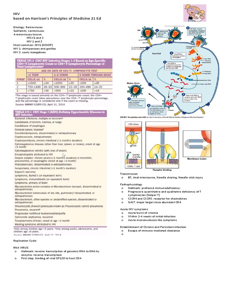 HIV Transmission, Pathophysiology, Clinical Manifestations and ...