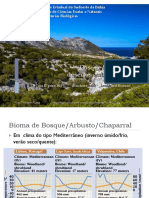 Biomas de Bosque/Arbusto e Deserto Subtropical