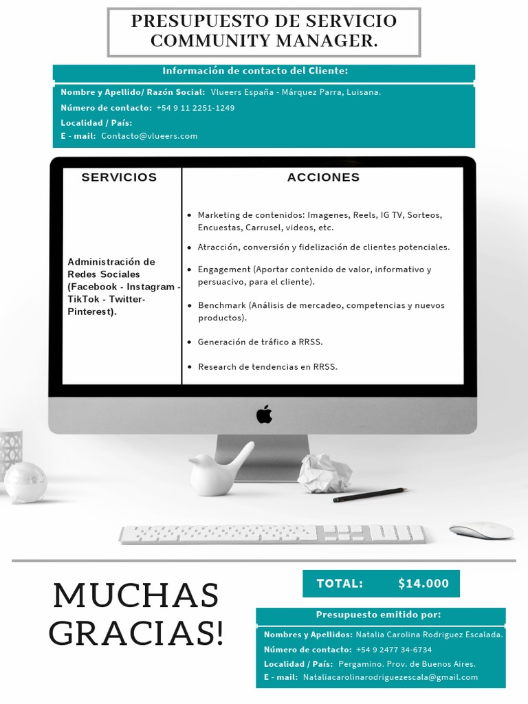 Presupuesto de RRSS (Ajustado) | PDF