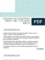 Terapia Do Esquema Prof. Dr. Luciana Melo