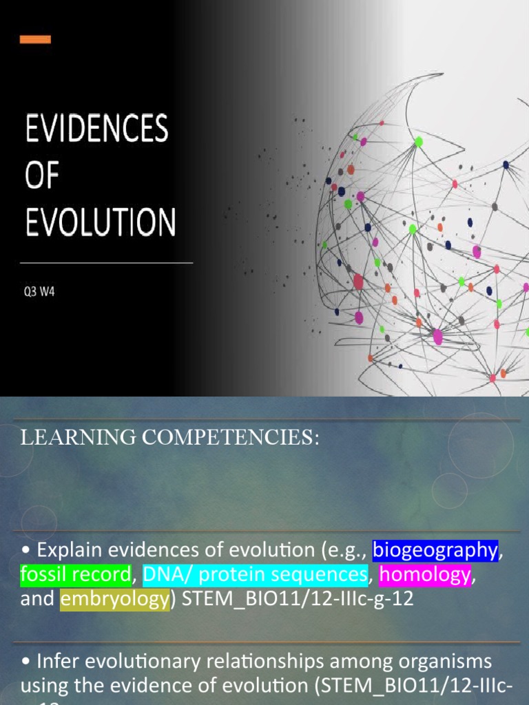 Evidence of Evolution Exploring the Fossil Record, DNA, and