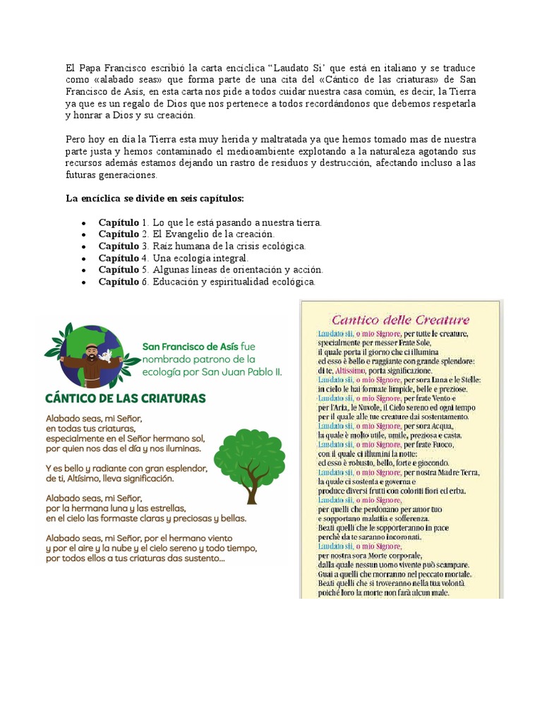 Laudato Si | PDF