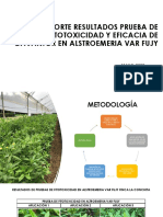 Reporte de Resultados de Pruebas de Fitotoxicidad Var Fujy